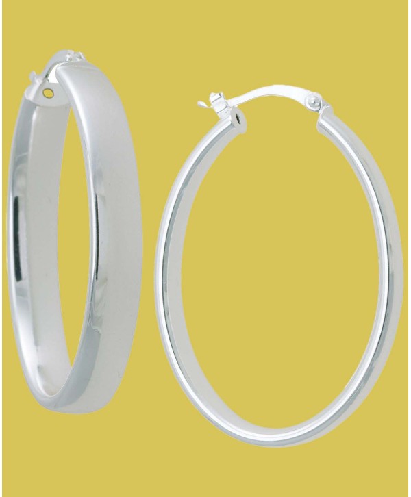 Shiny Hoop Earrings